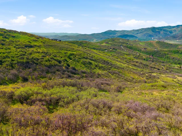 Expansive mountain landscape featuring varied green foliage across rolling hillsides