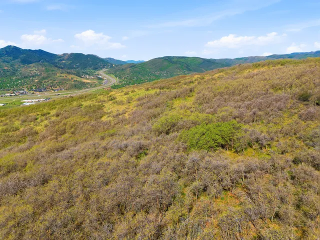 Expansive hillside property featuring diverse brush and scattered trees