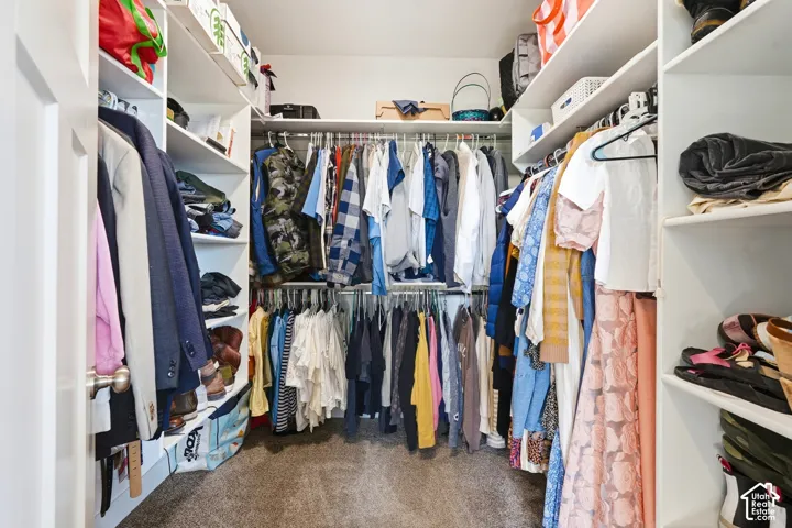 Walk-in closet featuring white built-in shelving, multiple hanging rods, and neutral carpet flooring