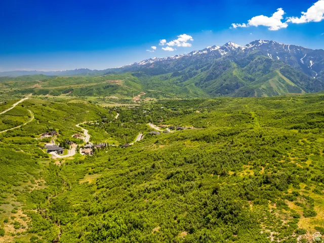 Expansive mountainous landscape featuring verdant foliage and snow-capped peaks