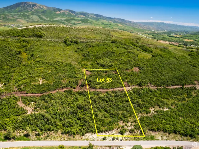 Expansive land parcel "Lot 53" featuring varied topography, abundant natural foliage, and a mountainous backdrop