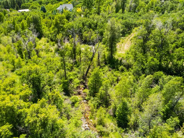 Wooded hillside property featuring a natural creek bed