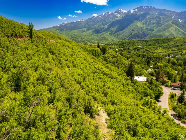 Expansive mountainous terrain featuring lush green foliage and distant snow-capped peaks