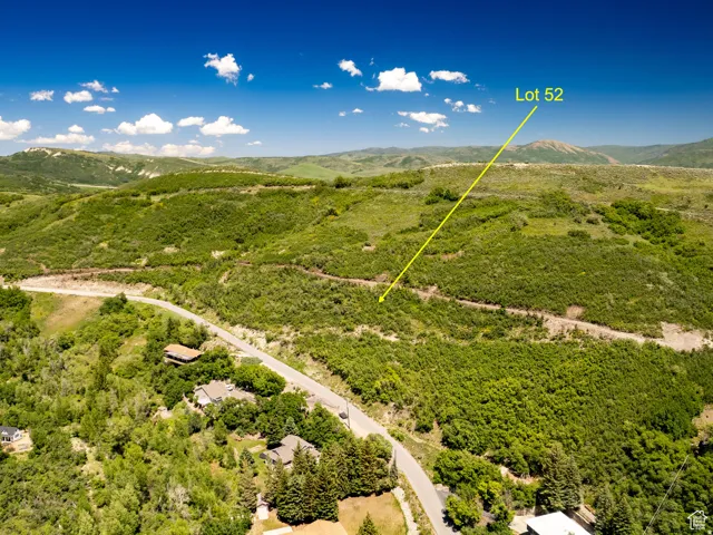 Expansive hillside lot featuring abundant natural vegetation