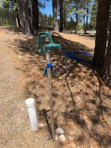 Outdoor water spigot with a green finish, set amidst pine trees