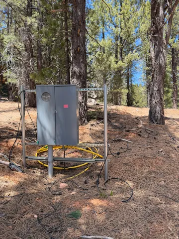 Outdoor electrical panel on a metal frame, surrounded by tall pine trees and natural ground cover