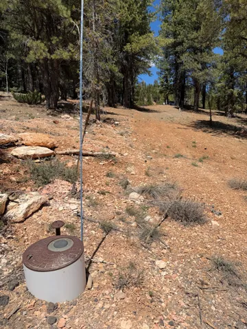 Wooded parcel with established utility access and a natural dirt path