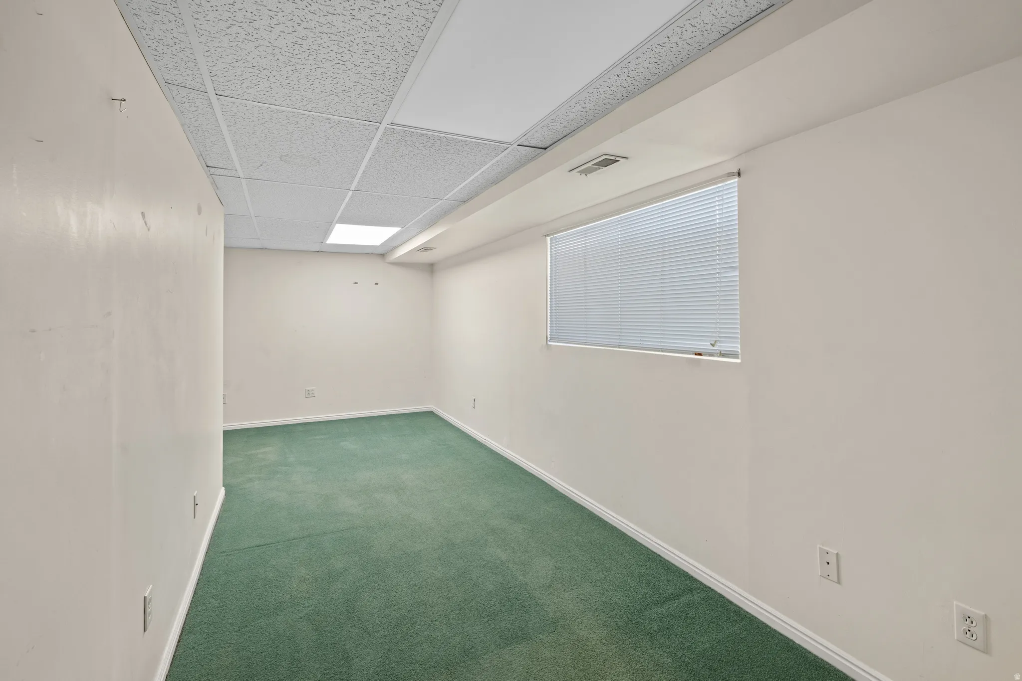 Expansive room featuring green carpeting and white baseboards