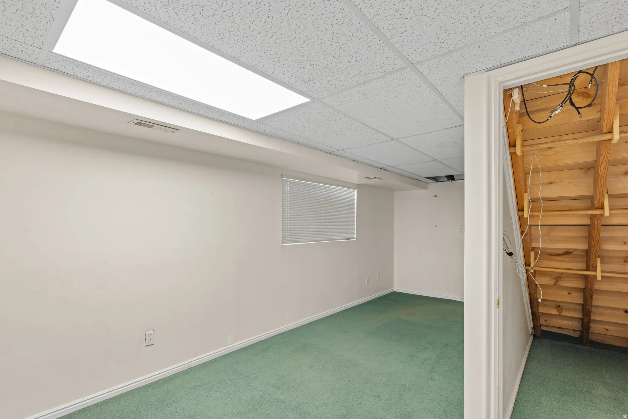 Finished room featuring a drop ceiling with integrated lighting, a single window with blinds, and green carpeting