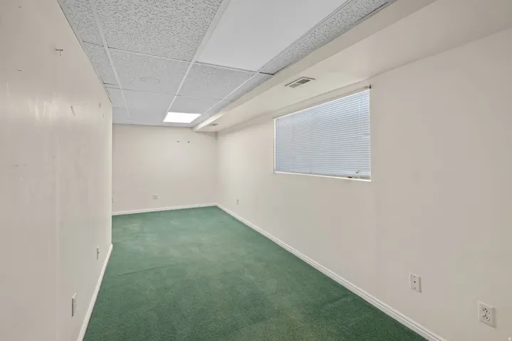 Expansive room featuring green carpeting and white baseboards