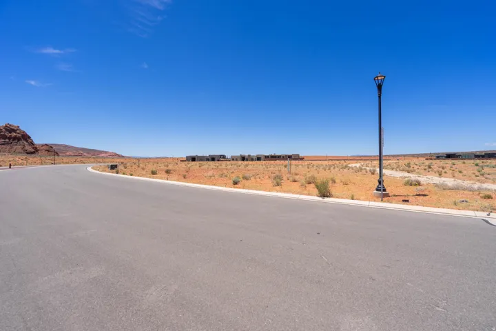 Paved street featuring a curved design, street light, and undeveloped land
