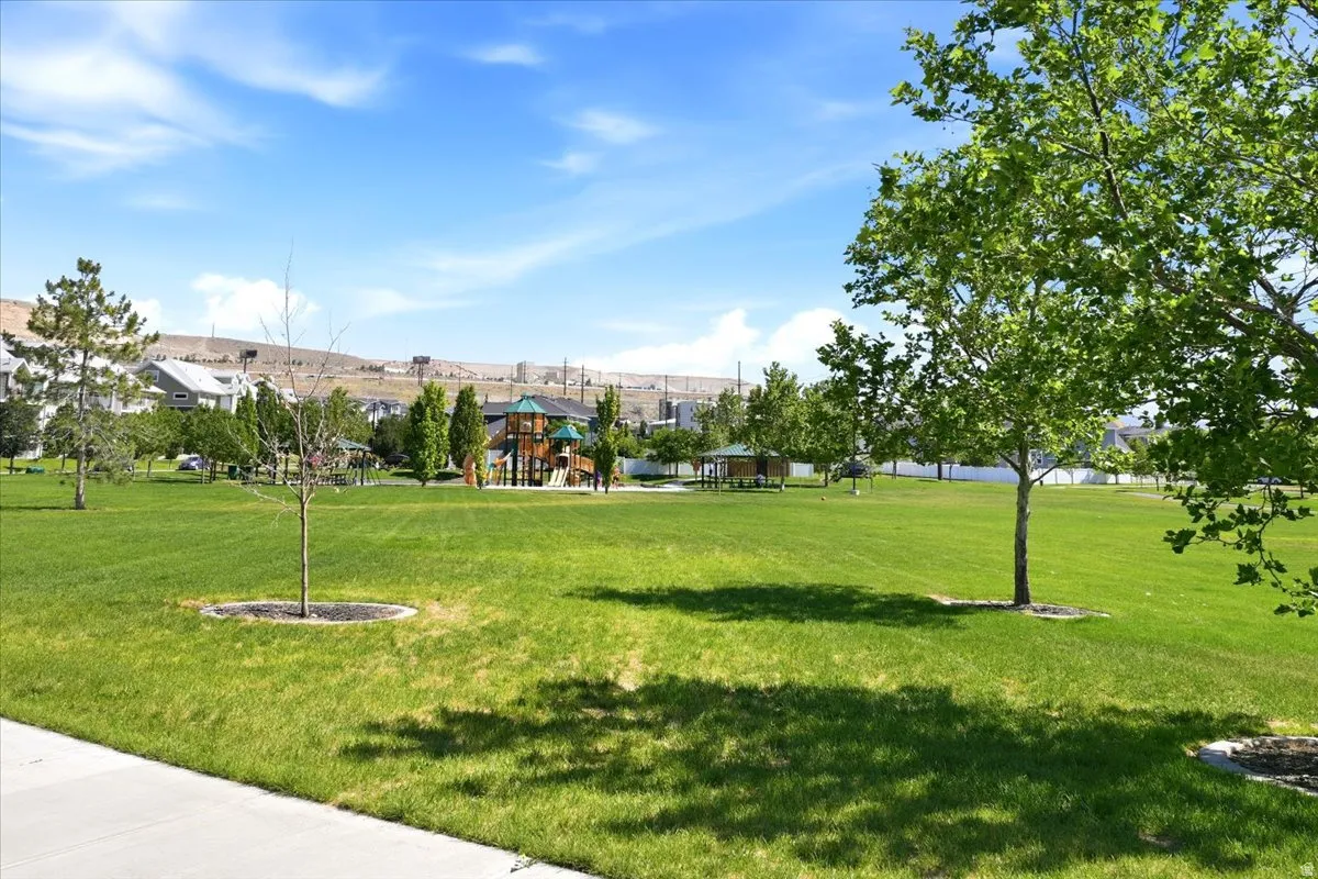 Expansive green space featuring a vibrant playground structure, multiple mature trees, and a distant mountain backdrop