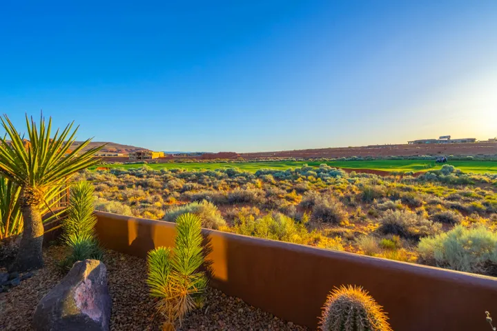 Desert landscaping with a low garden wall