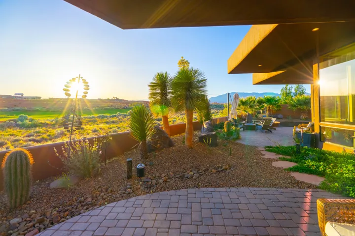 Paver patio with a desert-inspired landscape featuring mature cacti and palm-like plants