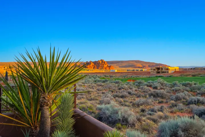 Desert landscape featuring natural flora and distant rock formations