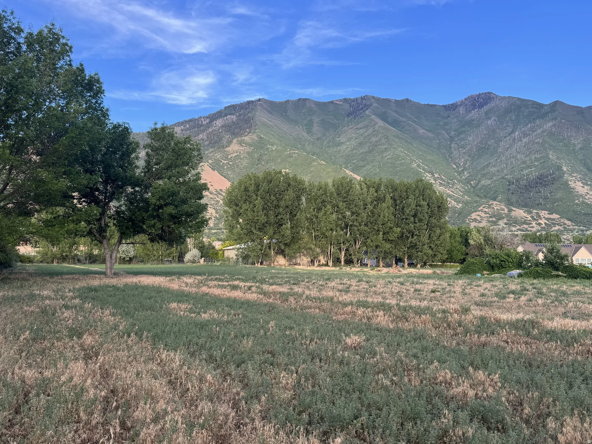 Expansive open land with a mountainous backdrop, featuring established trees at the perimeter