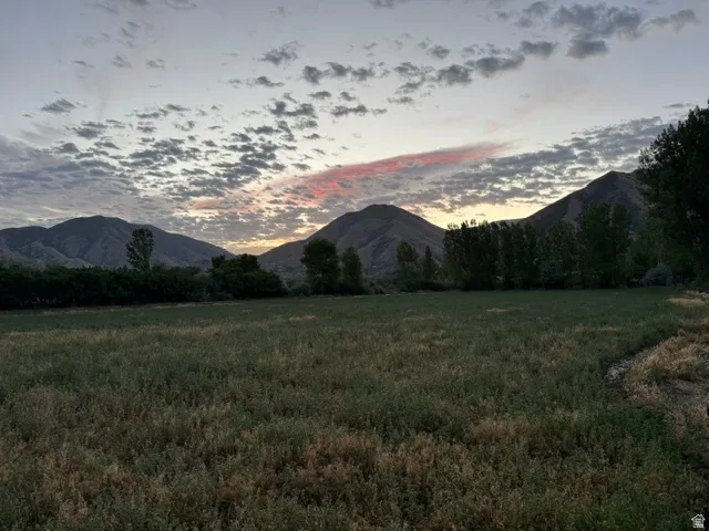 Expansive green field bordered by a dense line of mature trees, with a distant mountain range under a partially clouded sky