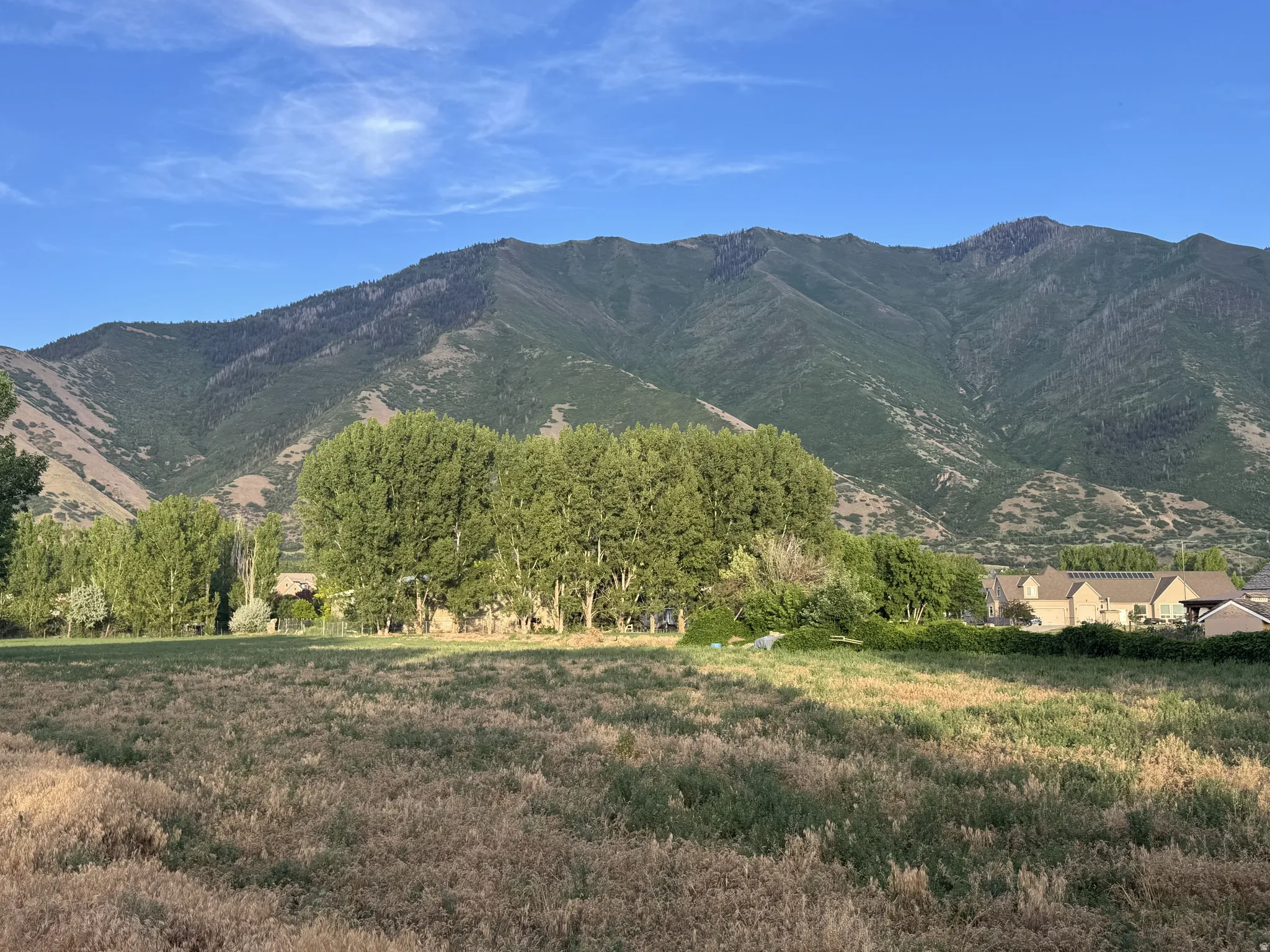 Mountain view