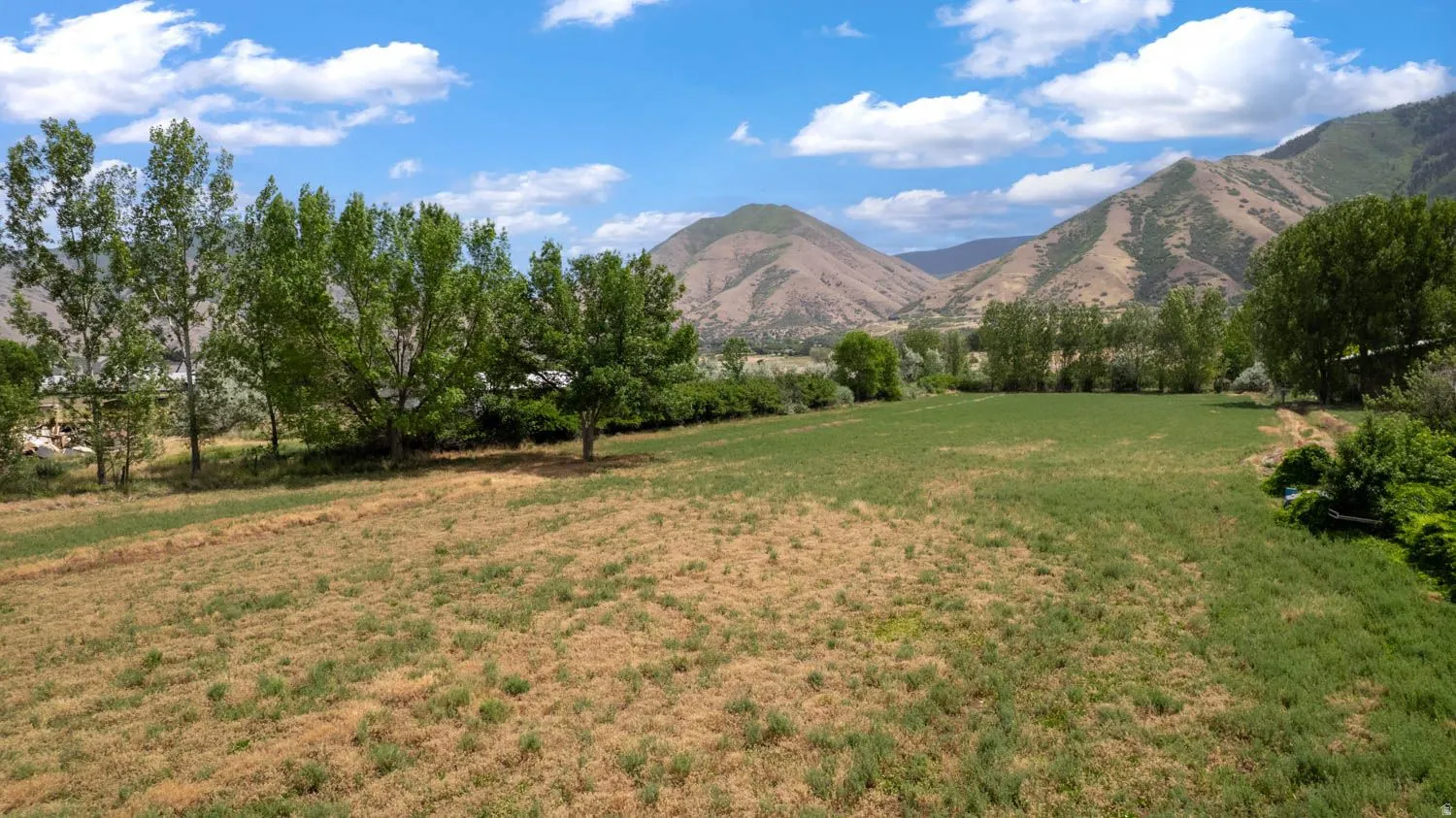 Expansive land parcel featuring open fields and mature trees, set against a backdrop of distant mountains under a blue sky with scattered clouds