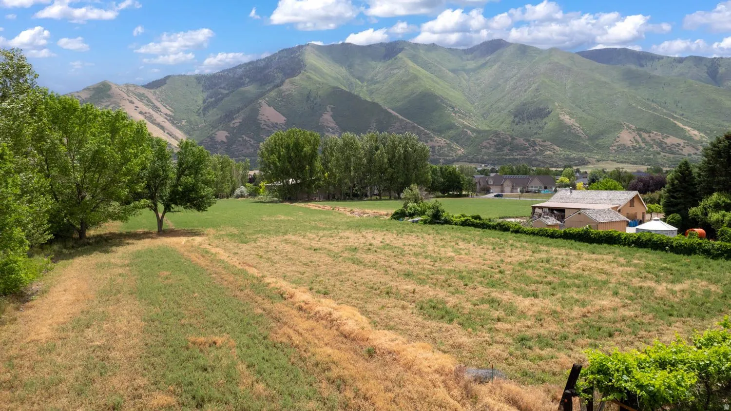 Expansive green space with mature trees, surrounded by mountain scenery