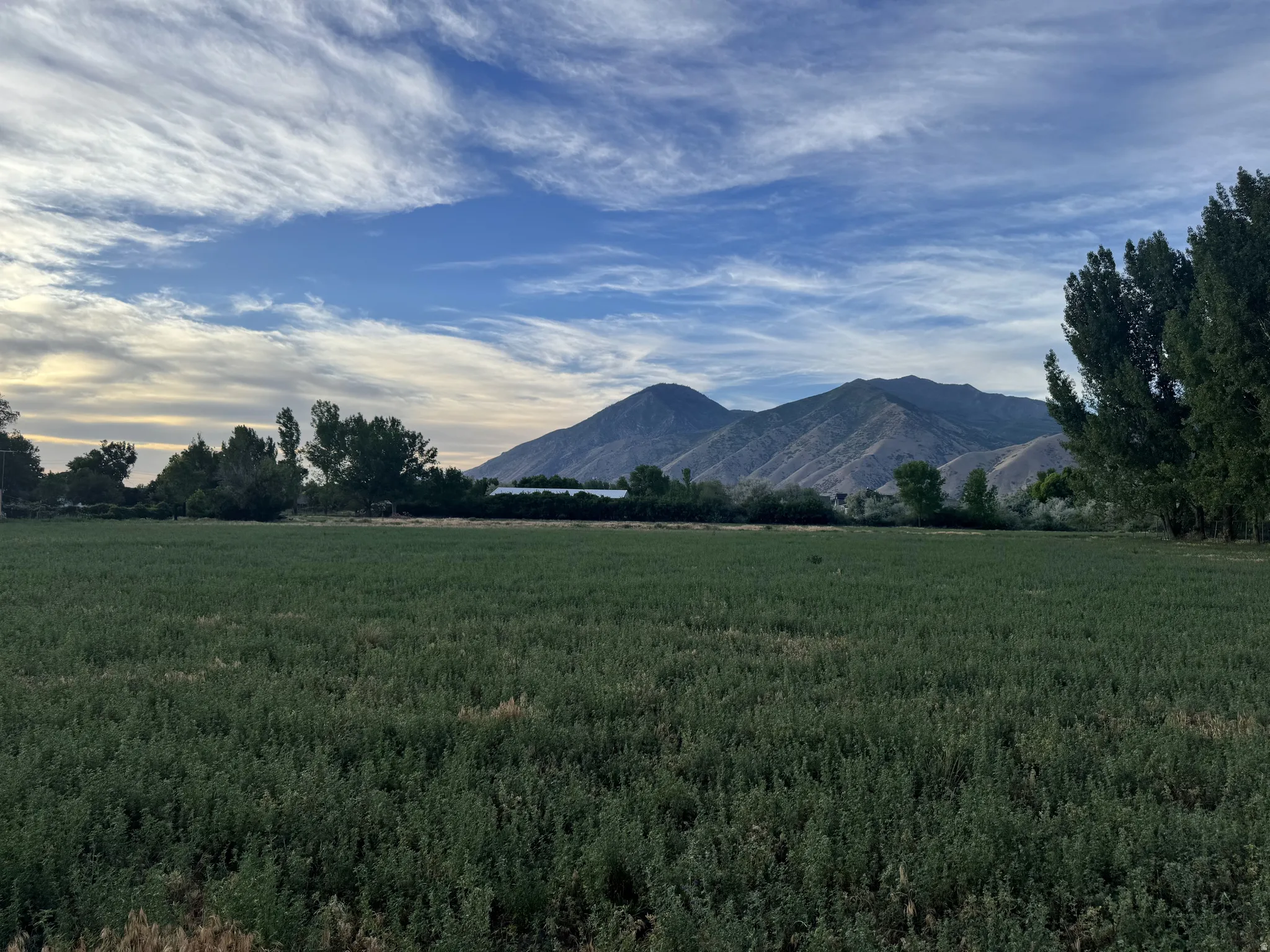 Expansive green field with distant mountain range