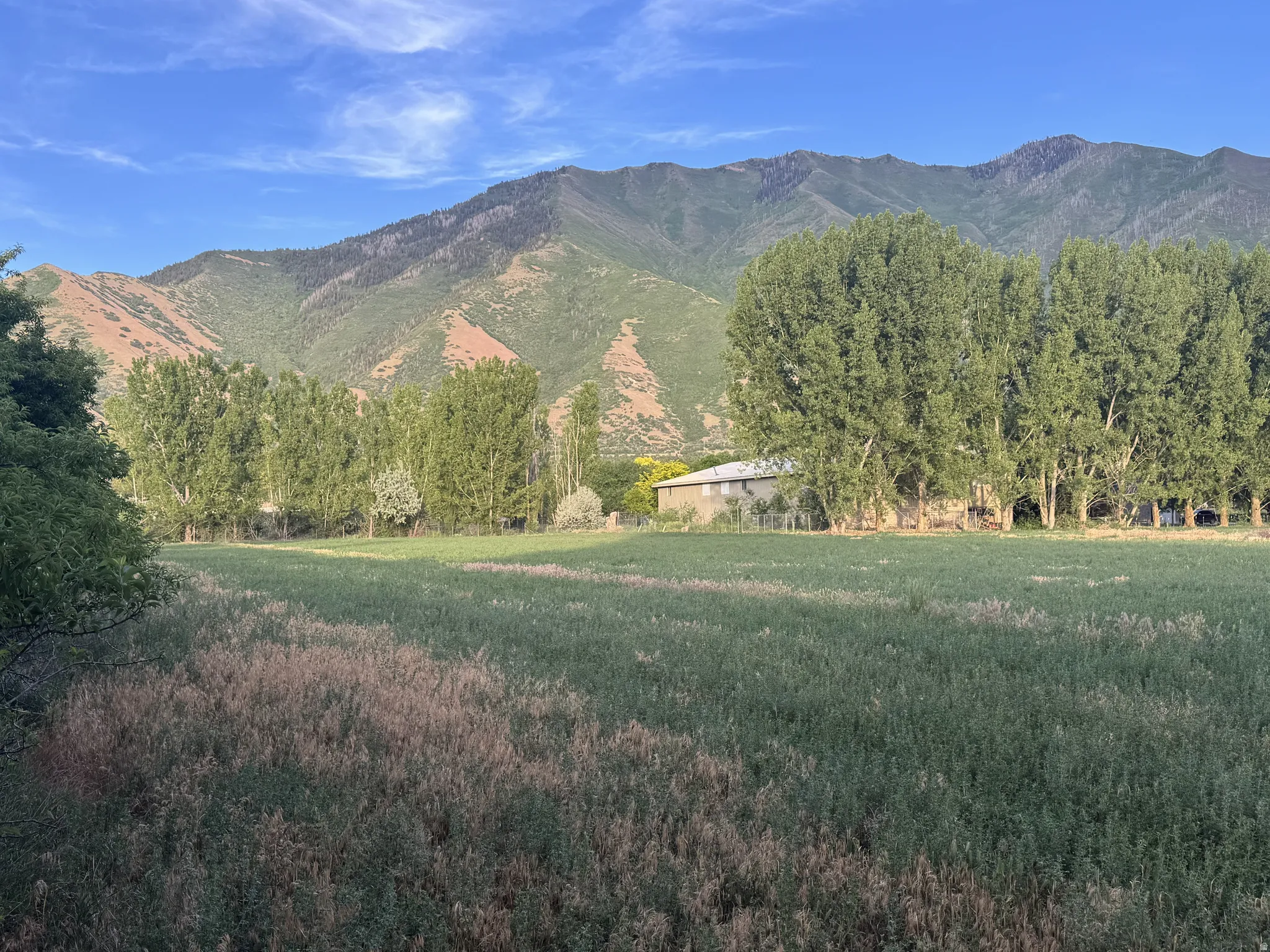 Expansive natural landscape featuring a prominent mountain backdrop, mature trees, and a substantial field with varied vegetation