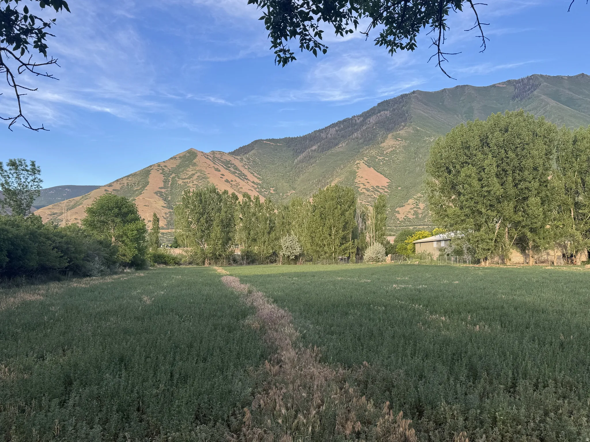 Expansive green field with a distinct pathway, framed by mature trees, and backed by a prominent mountain range