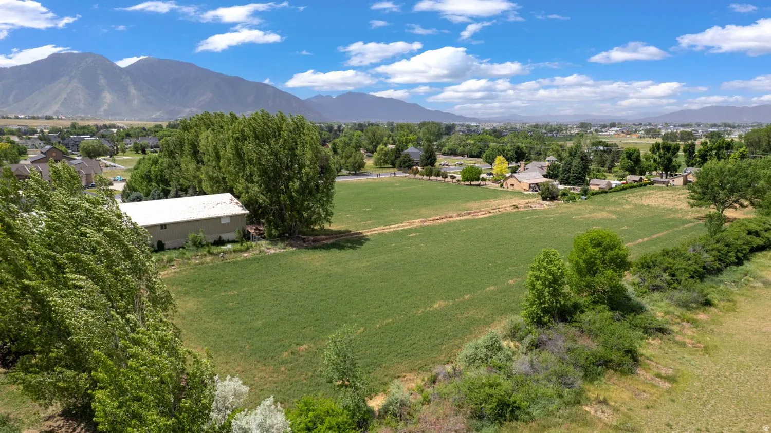 Expansive green field with established trees, surrounded by residential properties and distant mountains under a blue sky