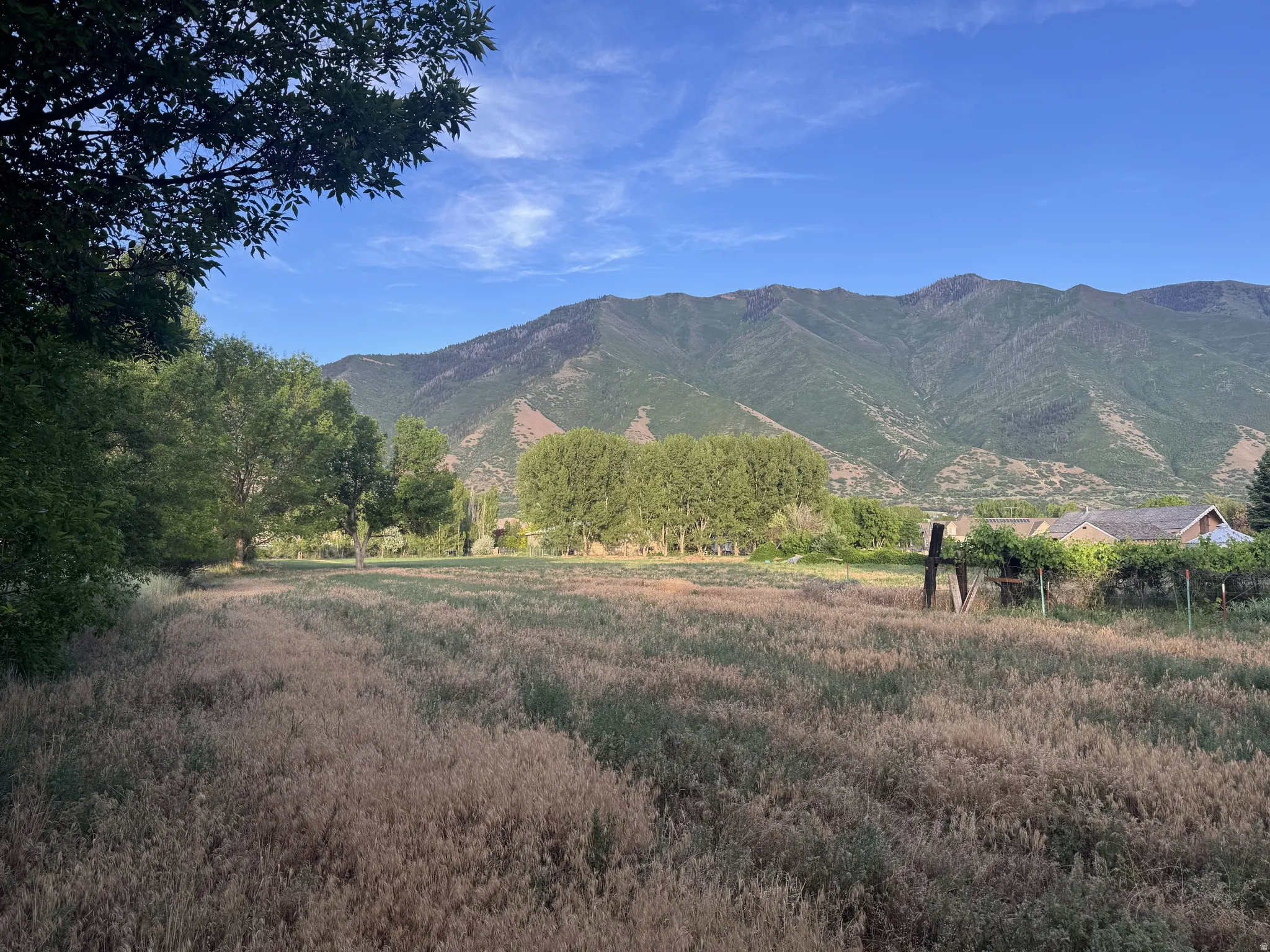 Expansive open field with natural vegetation, featuring a prominent mountainous backdrop