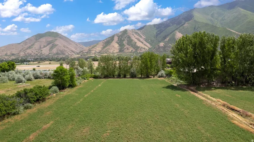Expansive green field surrounded by mature trees, with prominent mountain scenery in the background