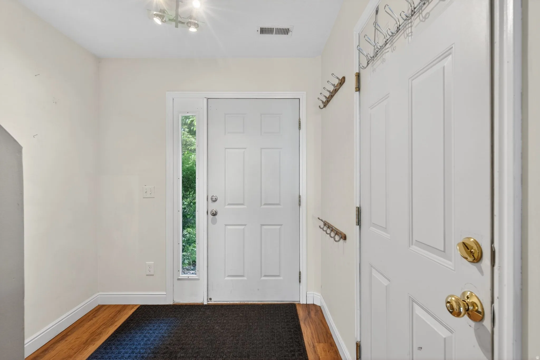 Entryway featuring a paneled white door with a sidelight, wood-finish flooring, track lighting, and a second paneled door
