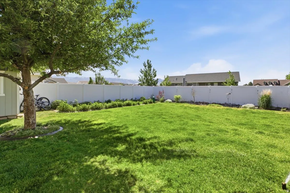 Expansive green lawn with established perimeter landscaping and a mature shade tree