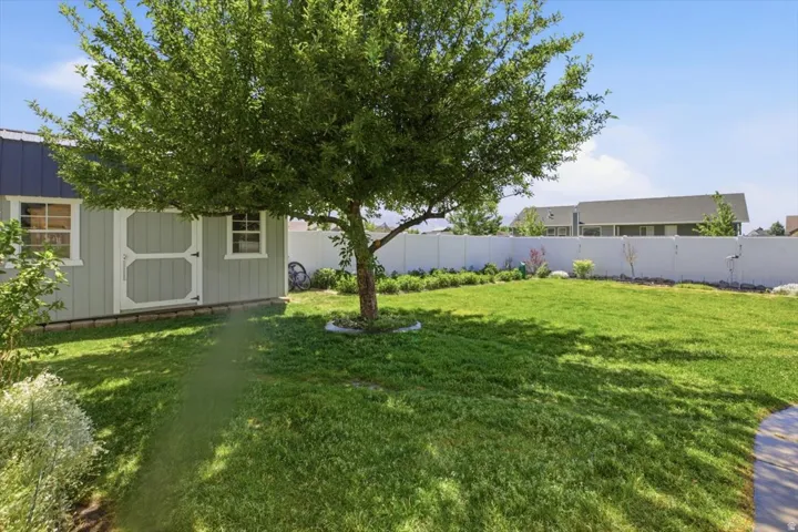 Expansive backyard featuring a manicured lawn, a mature tree, and a light-colored storage shed with a dark roof
