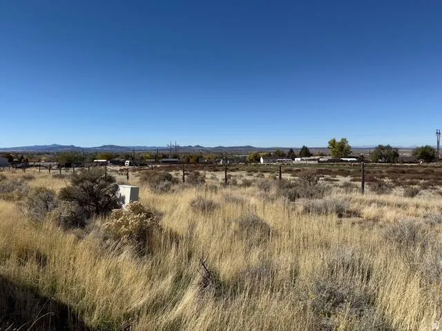 Expansive undeveloped land featuring natural grasses and shrubbery
