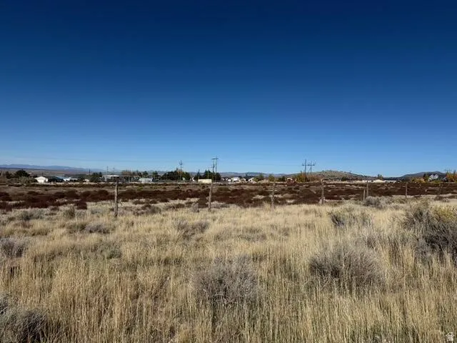 Expansive open land featuring diverse natural vegetation, a clear blue sky overhead, and distant mountain ranges