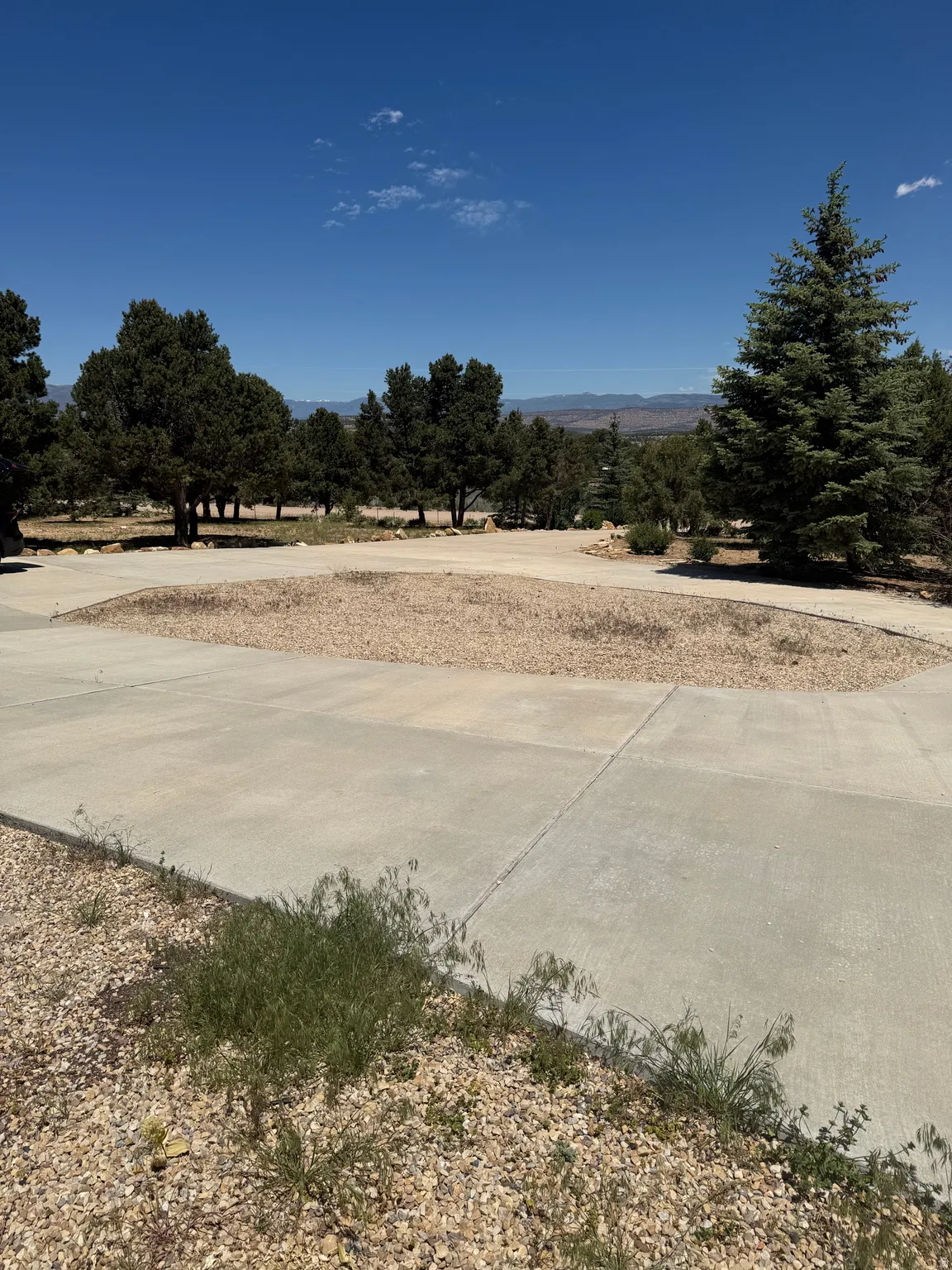 Concrete driveway with a gravel center, surrounded by varied evergreen trees and distant mountain ranges