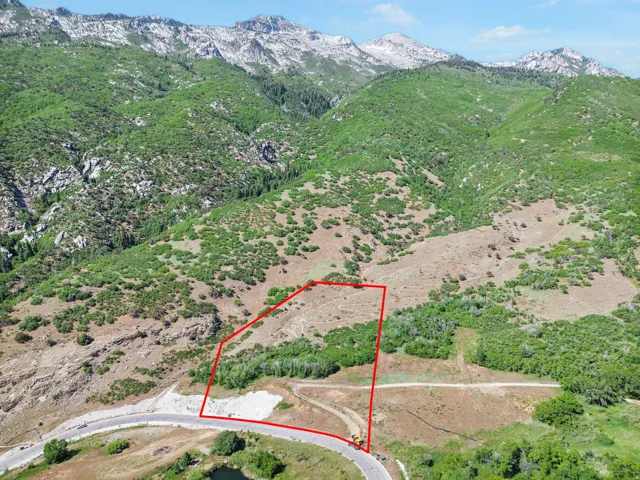 Expansive mountain lot with a curved road frontage and established vegetation