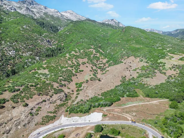 Mountainous landscape with varied green foliage and visible rock formations