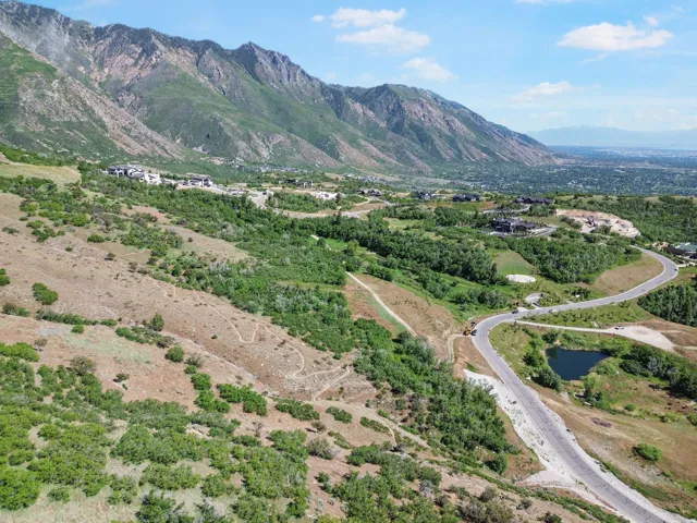 Mountainous terrain with natural vegetation, winding paved road, and a tranquil pond feature