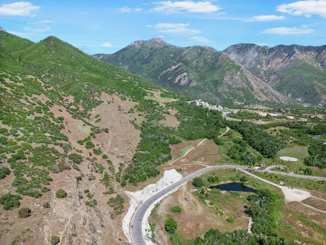 Mountainous landscape featuring verdant slopes and a winding paved road