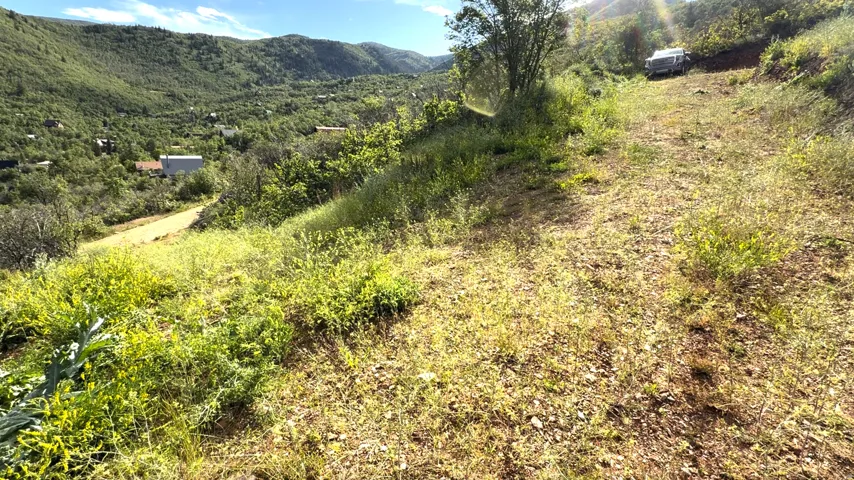 Rolling hillside terrain with a dirt path