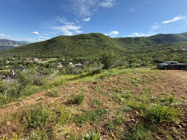 Expansive hillside lot with natural vegetation