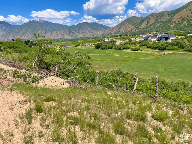 Expansive land featuring natural vegetation and distant mountain ranges