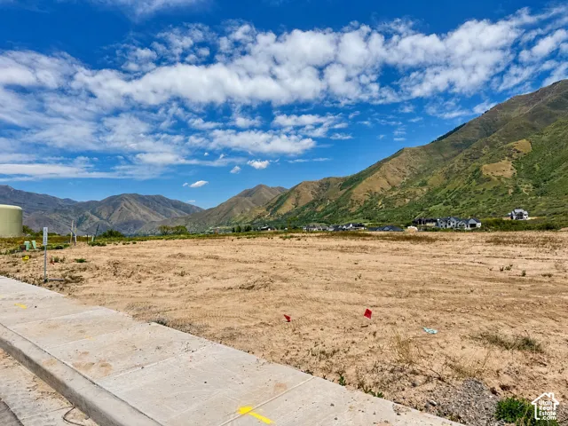 Expansive building lot featuring concrete curbing and a clear, level surface