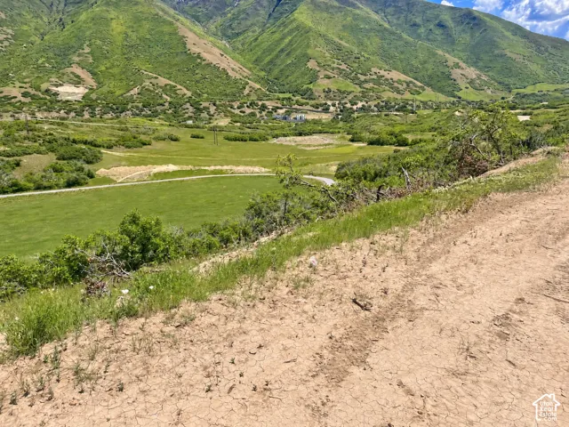 Mountain backdrop with expansive green fields