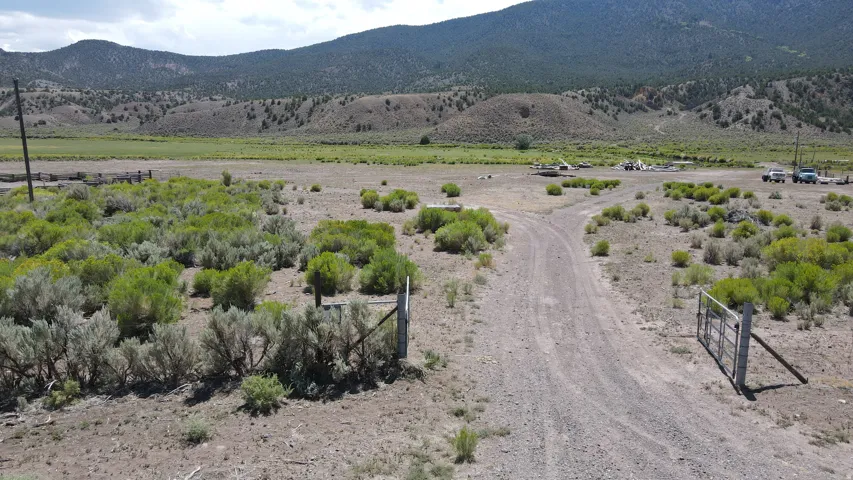 Gravel driveway entrance with an open metal gate, surrounded by native desert vegetation
