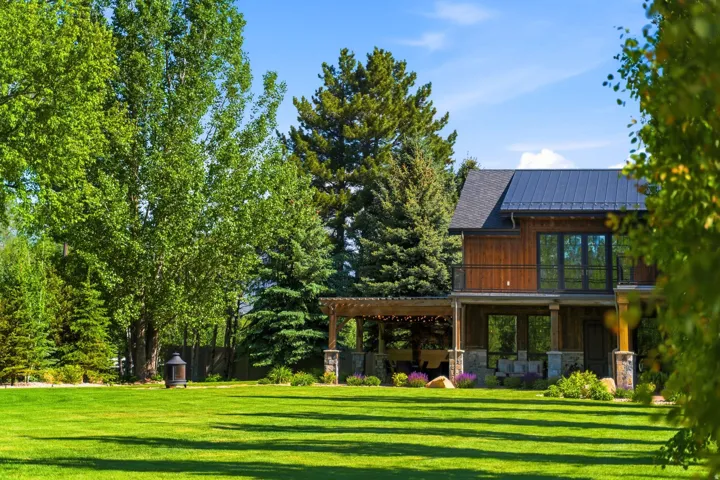 Spacious green lawn with mature trees