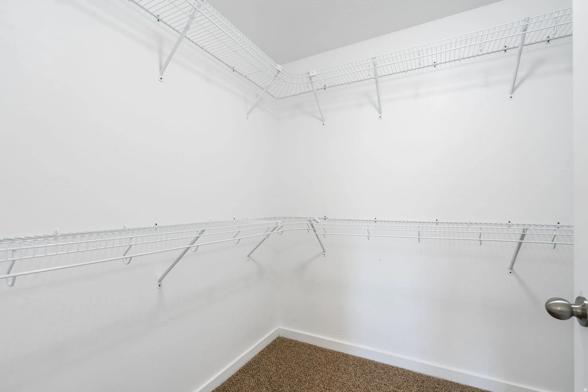 Walk-in closet featuring white wire shelving, white walls, and neutral-toned carpeting