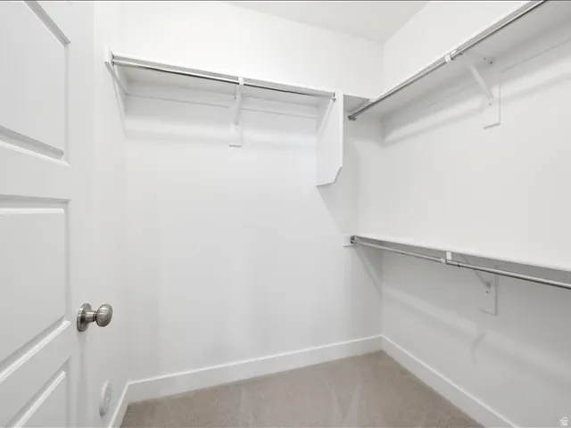 Walk-in closet with white walls, baseboards, and carpeted flooring