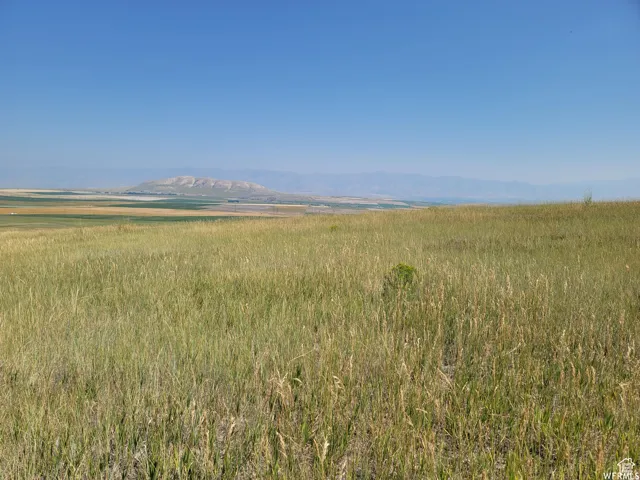 Expansive open landscape featuring natural grasslands and a clear blue sky